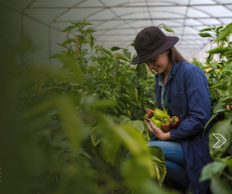 Greenhouse Farming in Bangladesh_ From Traditional to Smart & Sustainable