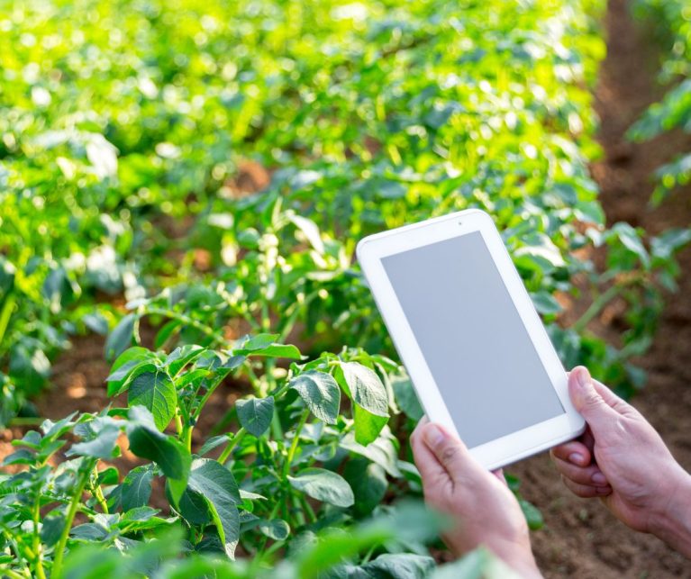 Smart Farming Revolution in Bangladesh_ How IoT is Transforming Agriculture