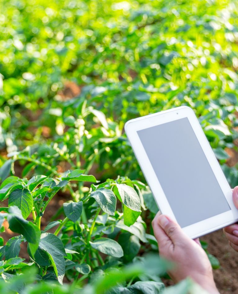 Smart Farming Revolution in Bangladesh_ How IoT is Transforming Agriculture Smart Farming Revolution in Bangladesh_ How IoT is Transforming Agriculture